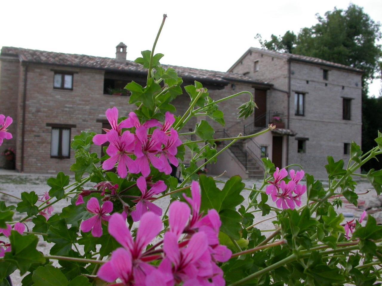 Gasthaus Antica Dimora Sarnano Exterior foto